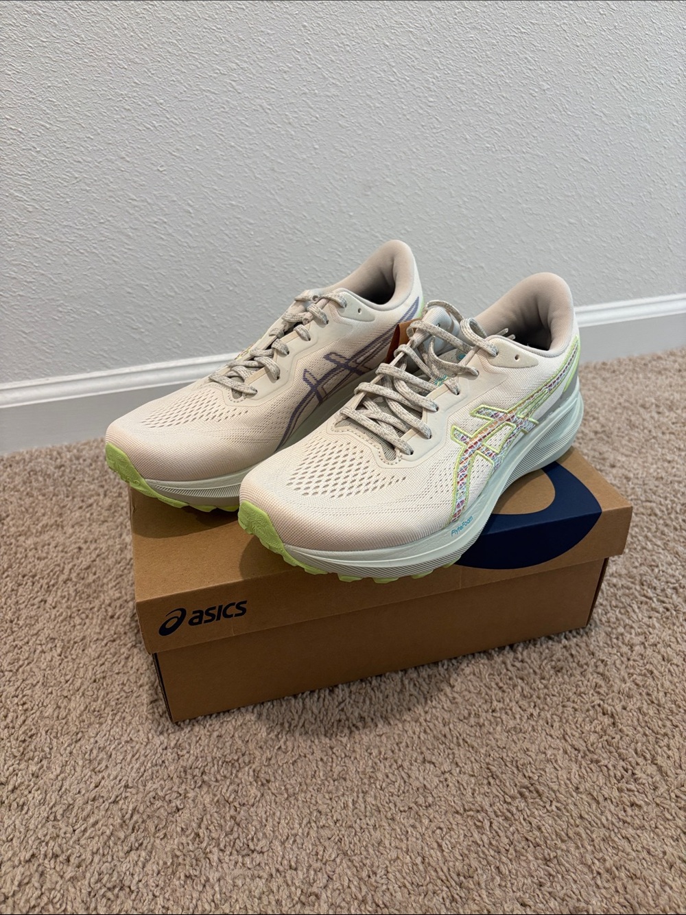 ASICS GT 1000 13 Trail